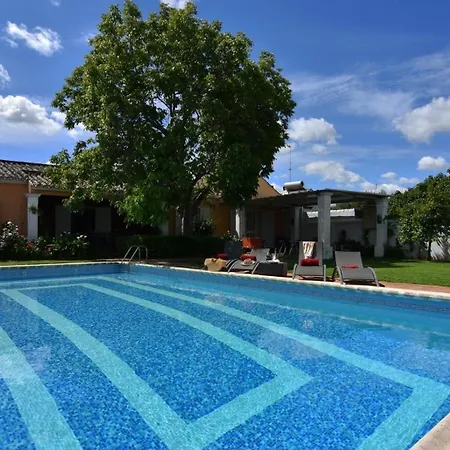 Holiday home Mit Privatpool Fuer 8 Personen Ca 240 Qm In Palma Del Rio, Andalusien Provinz Cordoba Palma del Rio